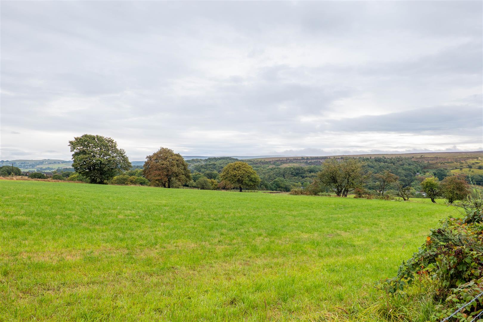 Sandringham Drive, Chorley
